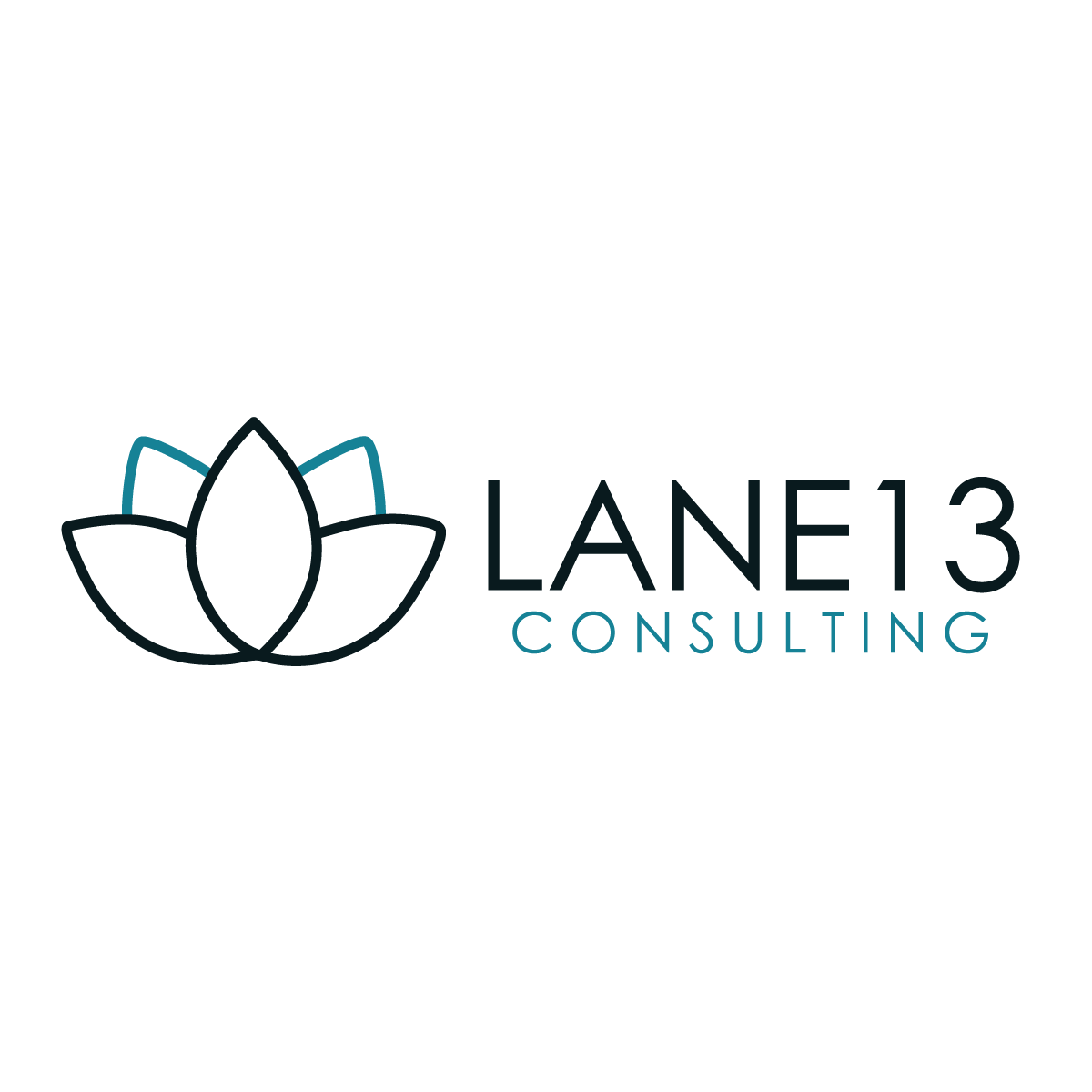 Lane13 Consulting Firm.